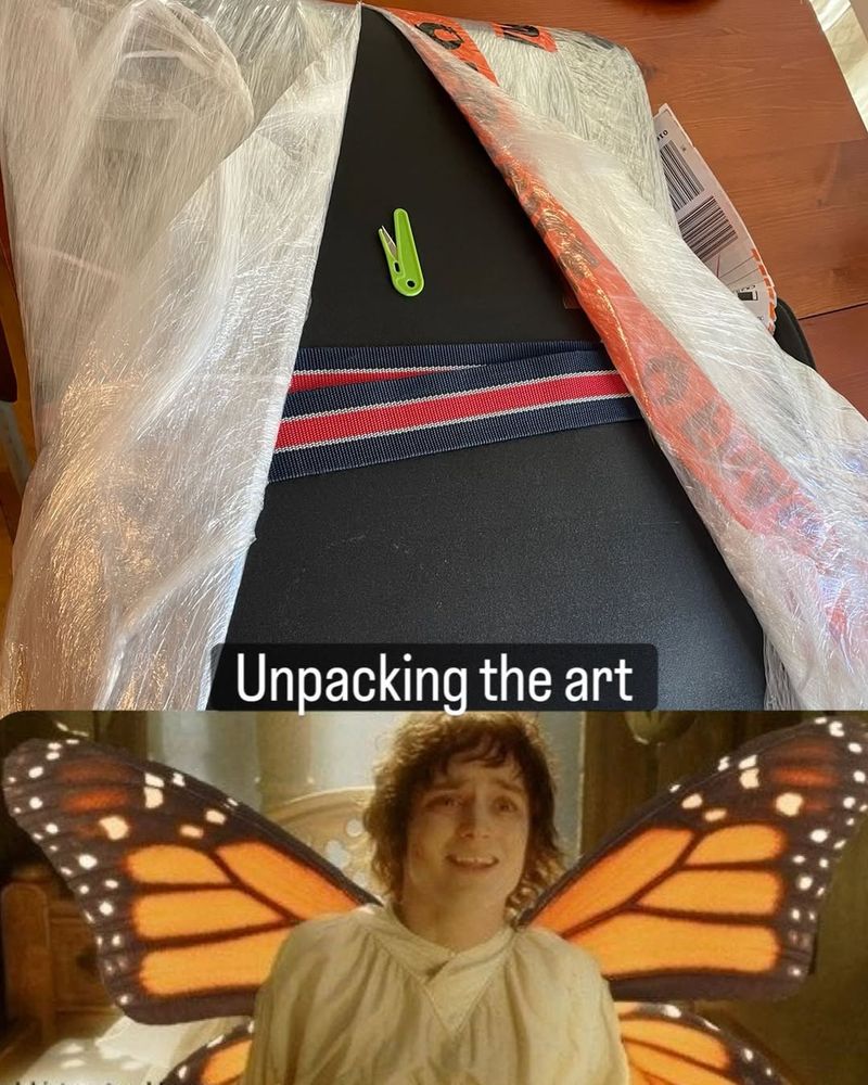 Unpacking the art. Photo of large portfolio of art partially unwrapped. Meme of Frodo waking up, with butterfly wings added from Ladyhistory.tumblr.com.