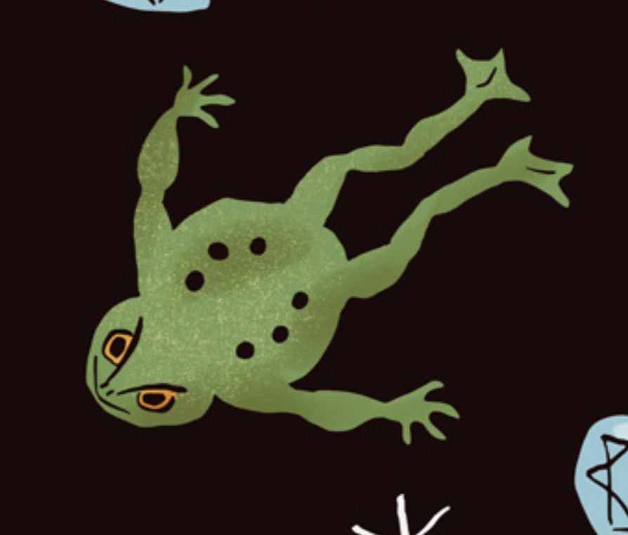 illustration of a green intense-looking toad in flight
