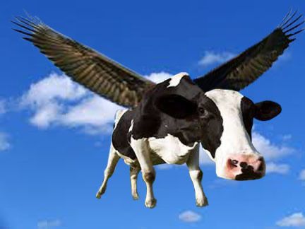 cow in the cloudy air with wings