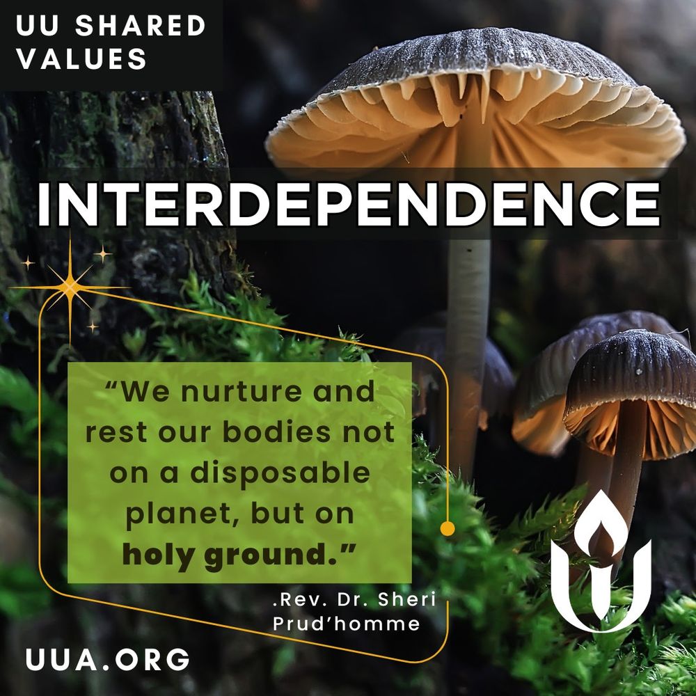 The image features a close-up view of mushrooms growing on a mossy forest floor, illuminated by soft natural light. The scene captures a sense of tranquility and connection to nature.

At the top-left corner, a black rectangle contains white text reading, "UU SHARED VALUES." Below it, large white text across the middle of the image says, "INTERDEPENDENCE."

A green semi-transparent box near the bottom-center of the image includes a quote in black text:
"We nurture and rest our bodies not on a disposable planet, but on holy ground."
The quote is attributed to Rev. Dr. Sheri Prud’homme, with her name in smaller text below the quote.

A glowing golden line with subtle star-like accents loops around the quote box.

In the bottom-right corner, the Unitarian Universalist flaming chalice logo appears in white, next to the website URL "UUA.org " in white text at the bottom-left.