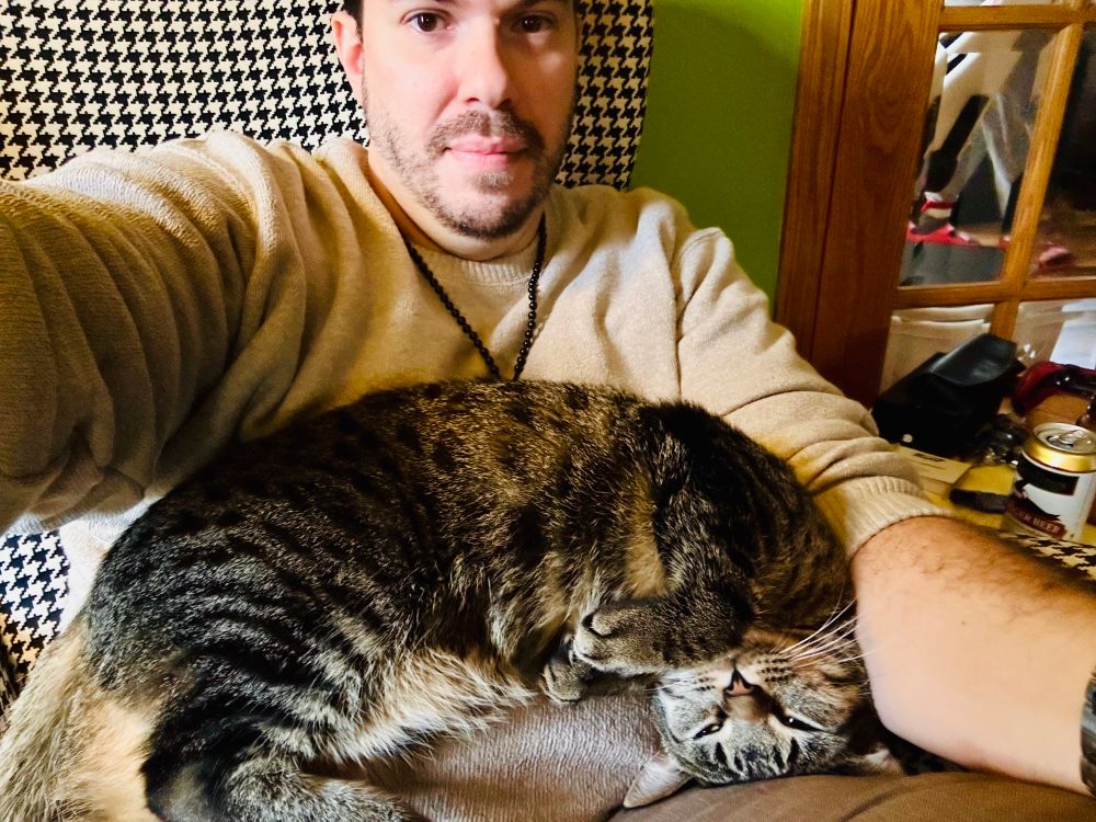 My grey tabby Cole in my lap laying like a croissant 