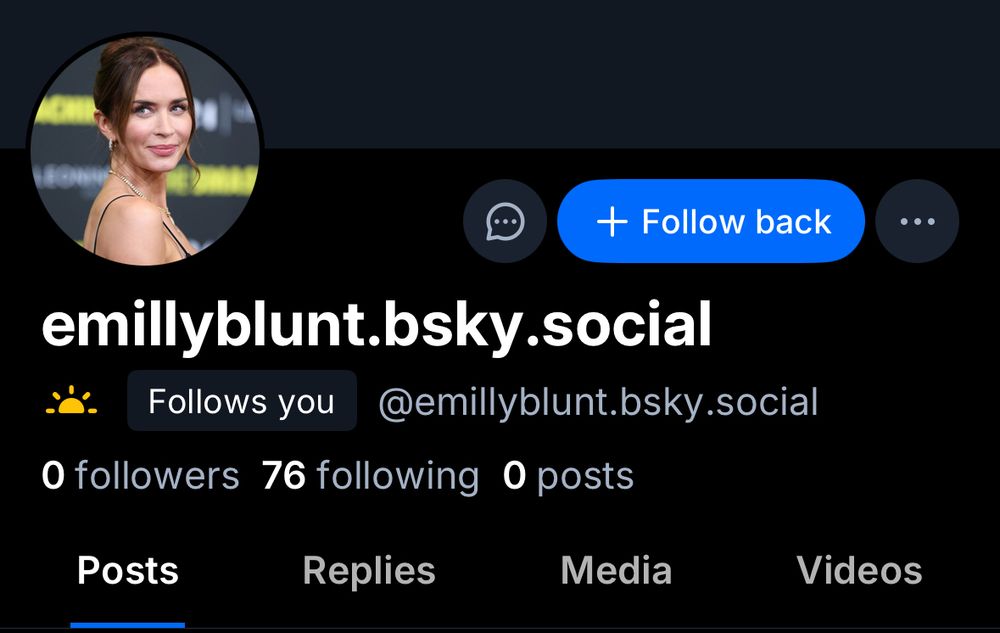 Extremely real and official Emily blunt bluesky profile