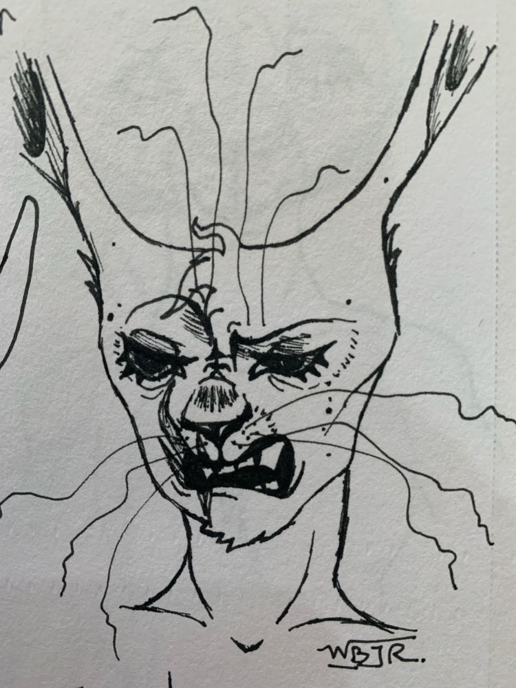 A sketchy traditional lineart piece of a harengon oc, Ide. It’s a headshot where he is looking tired and unimpressed, perhaps disgusted.