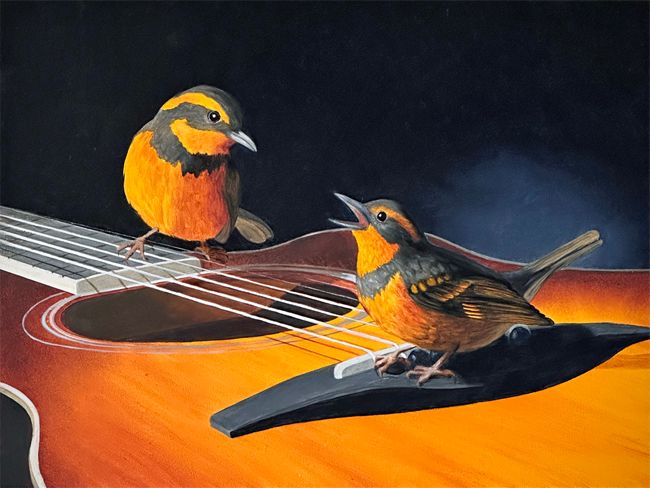 Oil painting by artist lorn Curry of two varied thrushes standing on a guitar. One is plucking a string, the other is singing.