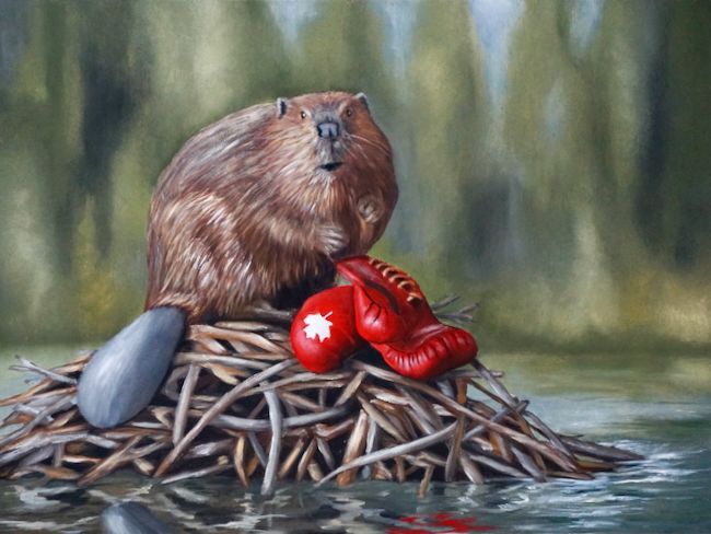 Oil painting by artist Lorn Curry of a determined looking beaver, standing on a dam with red boxing gloves at its feet. A maple leaf adorns one of the gloves.