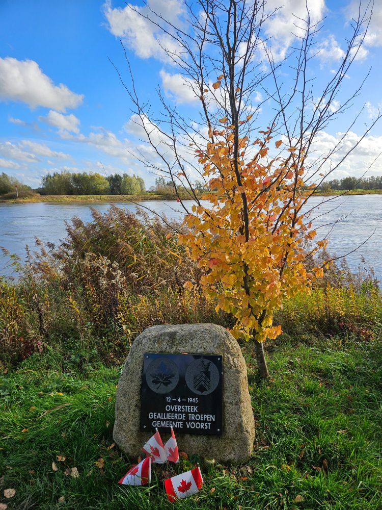 Gedenksteen aan de IJssel bij de plek waar de geallieerden op 12 april 1945 overstaken. Er staat een halfkaal boompje met gele bladeren achter en ervoor zijn 4 Canadese vlaggetjes in de grond gestoken 