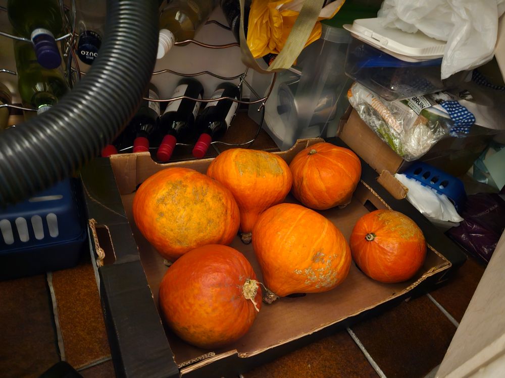 Zes oranje pompoenen in een sinaasappeldoos naast wijnflessen en vochtvreters met een langskomende stofzuigerslang