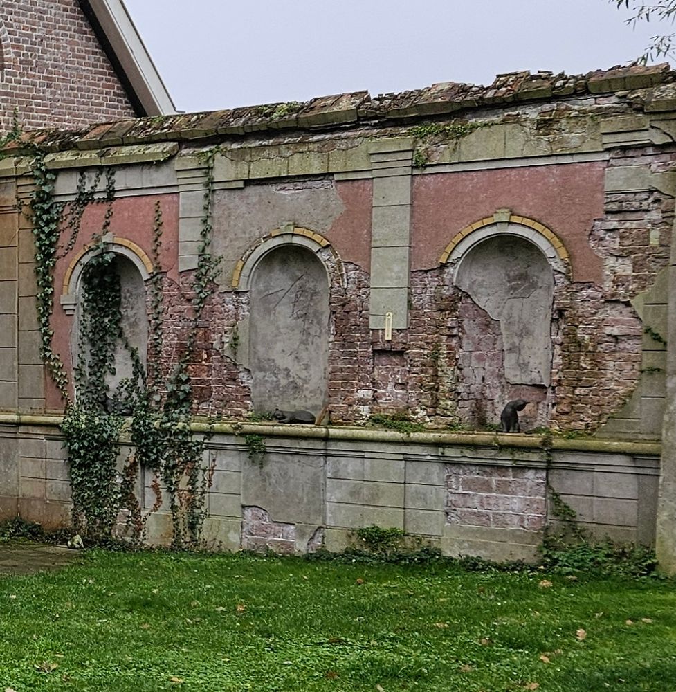 Vervallen muur met drie nissen met daarin evenveel figuren van zwarte katten: half liggend, liggend en staand.