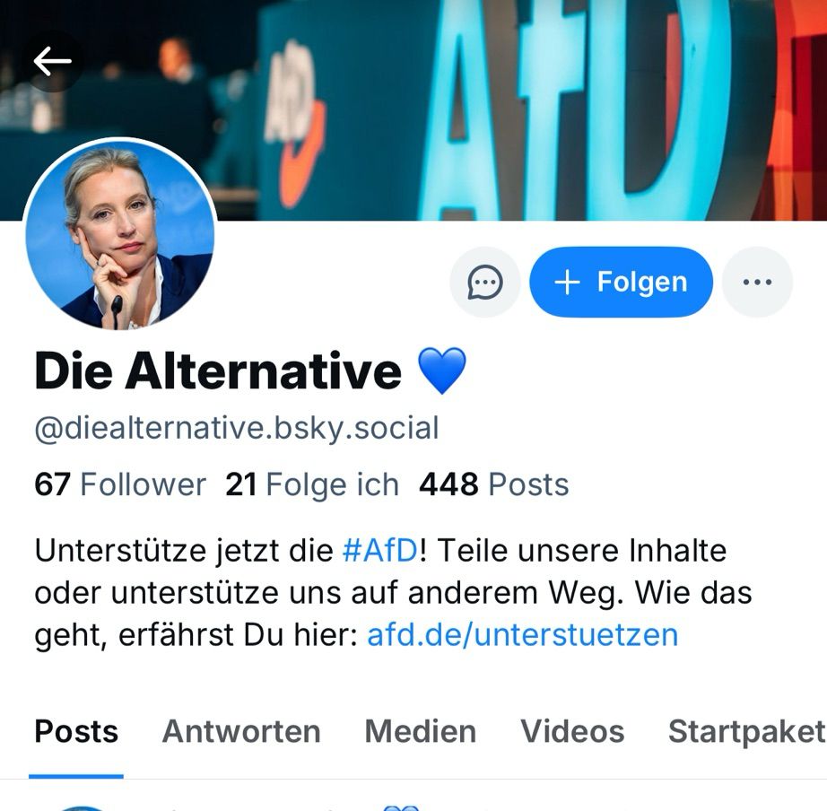 AfD-Profil für Unterstützer*innen auf Bluesky