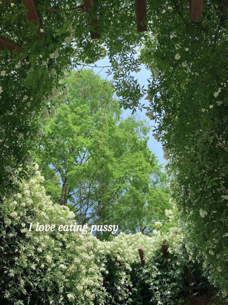 picture of tree roof with text 'i love eating pussy'