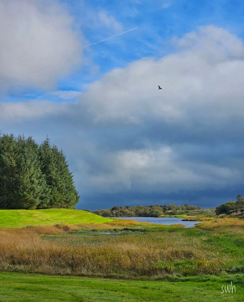 A view across marshy ground towards a body of water - not a lake, just a reservoir.
On one side, the sun is shining on neatly trimmed grass backed by tall trees. There are more trees on the other side of the reservoir.
Above is a cloudy sky with patches of blue. There is a bird silhouetted against the cloud and a jet with its contrail can be seen in the patch of blue sky