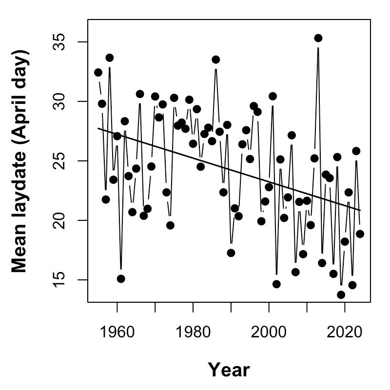 A scatterplot illustrating the advancement in mean great tit lay date over time.