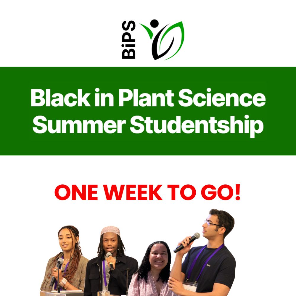 White writing on a green background: Black in Plant Science Summer Studentship.  

Red writing on a white background: one week to go 

Four young black people on a white background.