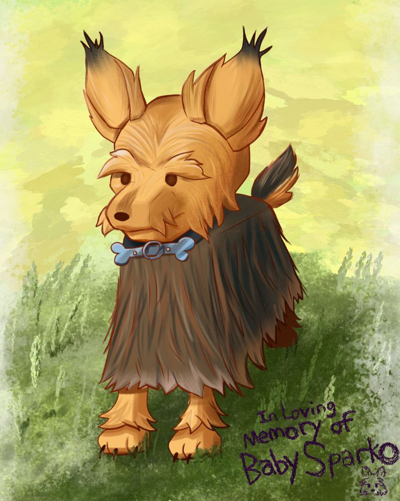 An illustration of a Yorkshire Terrier. Painterly strokes and detailed shading elevate the simple forms. Dot eyes, a dot nose, simple eyebrows, a simple mustache, fluffy ears, and a rectangular body that drapes fur like an oversized tablecloth.

Handwritten text in the corner reads “In Loving Memory of Baby Sparko” 