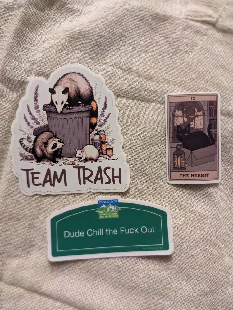 A collection of stickers. One is based on the sign for the Vancouver Dude Chilling Park and says "Did Chill the Fuck Out." Another says TEAM TRASH and depicts a rat and possum and raccoon around a bin. The third is the tarot card for The Hermit and depicts a cat in a box next to a lantern, with a crescent moon visible out the window behind.