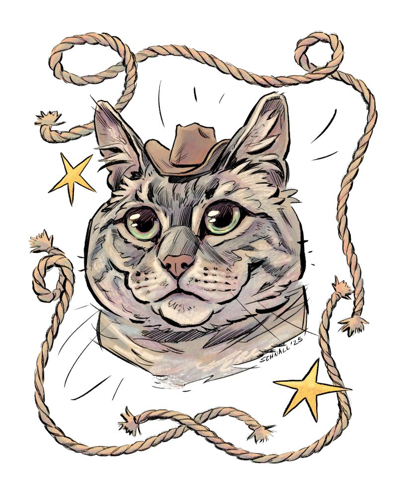 Illustration of a gray tabby wearing a cowboy hat, framed by ropes and stars