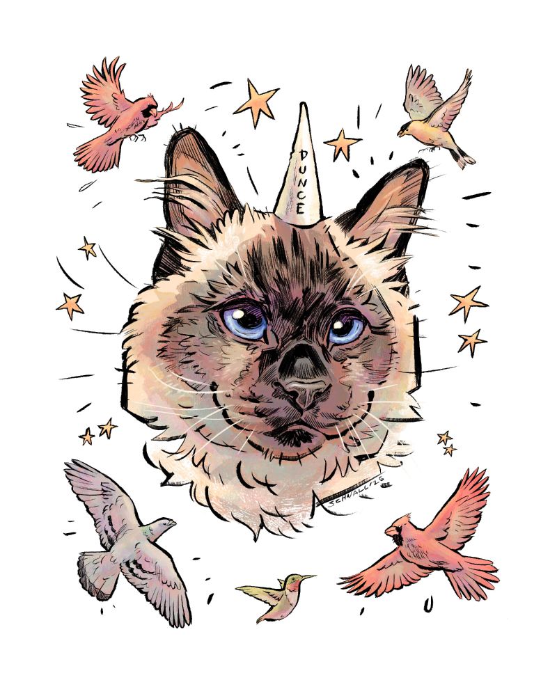 Illustrated portrait of a fluffy cat framed by birds and stars
