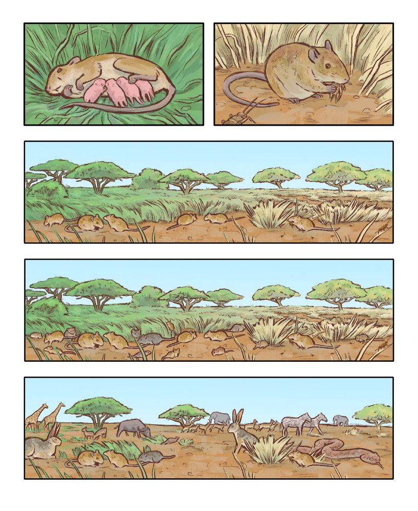Multi-panel illustration showing rodent reproduction and population in different ecological conditions 