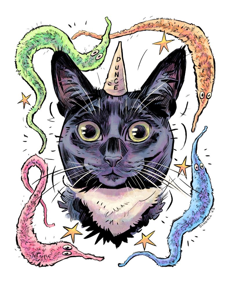 Illustration of a tuxedo cat wearing a dunce cap, framed by worms on a string and stars