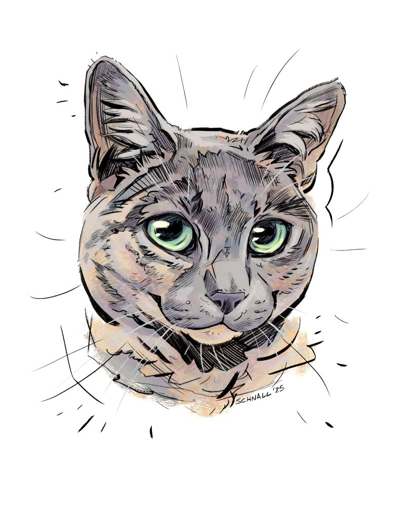 Illustration of a tortie cat with kind green eyes