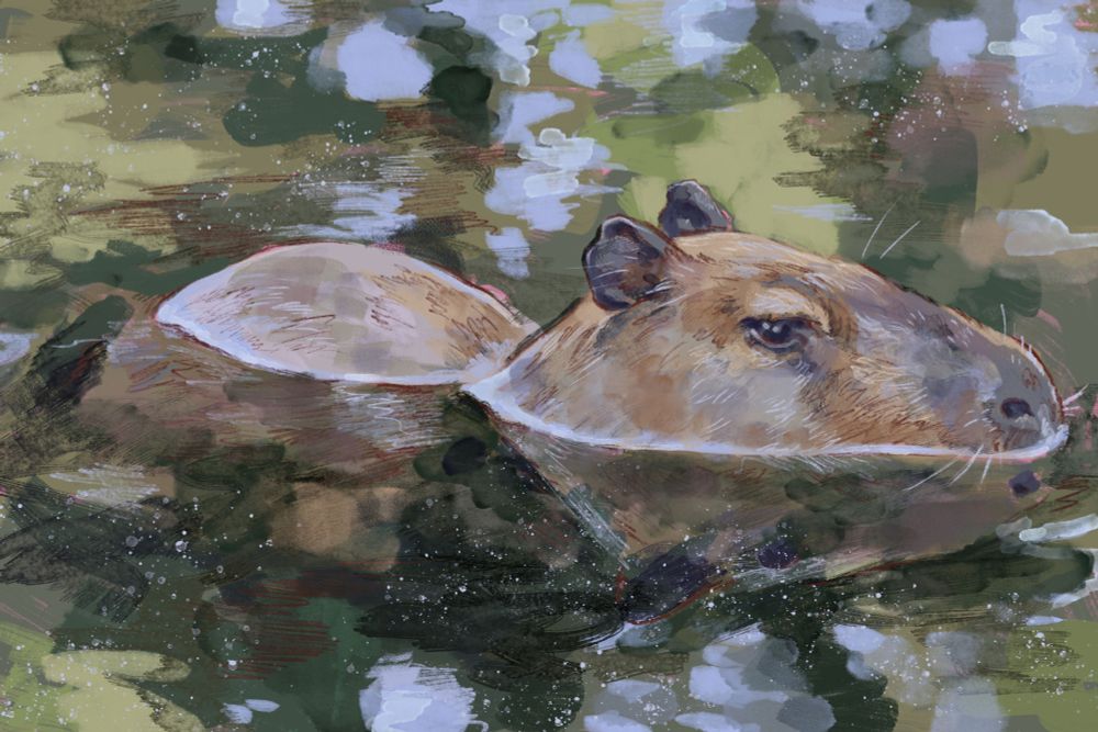 A capybara submerged in water, style is painterly
