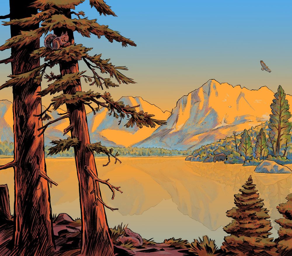 Illustration of a landscape featuring pine trees in the foreground, a lake in the midground, and forested mountains in the background. The sky is blue and yellow, which we see reflected in the lake, the lighting looks like late afternoon. We see squirrels, a soaring eagle, and a small bear on a distant shore