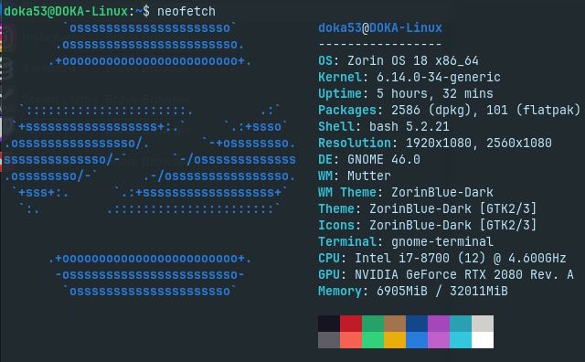 terminal do Linux apresentando informações do sistema
