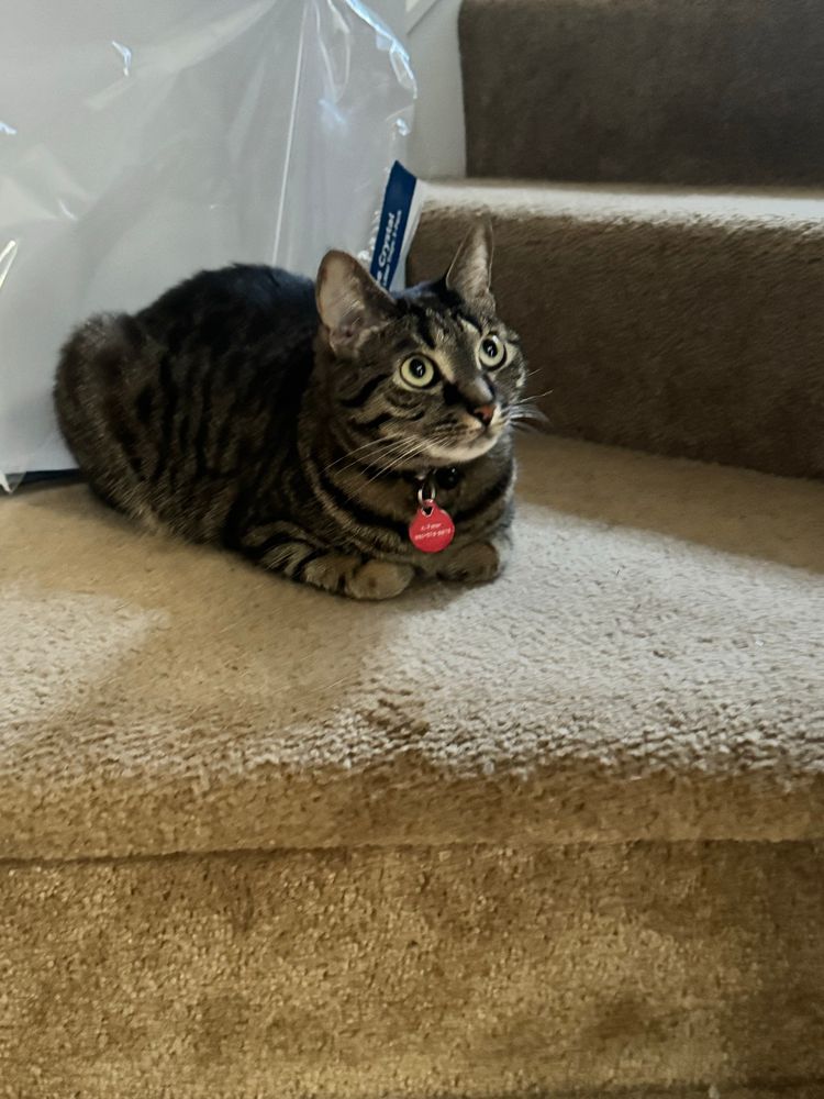 Bean also loafing!