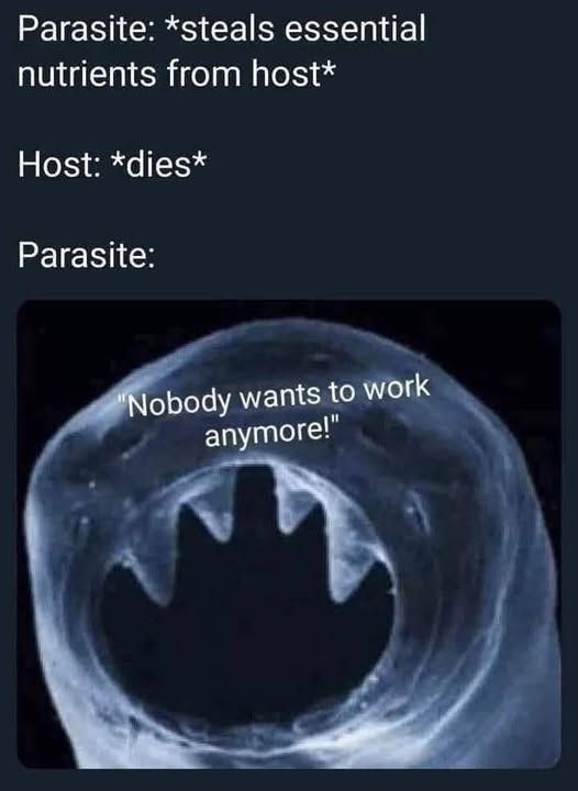 En bild på en parasit

Parasite: *steals essential nutrients from host*
Host: *dies*
Parasite:"Nobody wants to work anymore!"

 
