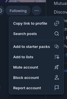 the only options are
> Copy link to profile
> Search posts
> Add to starter packs
> Add to lists
> Mute account
> Block account
> Report account