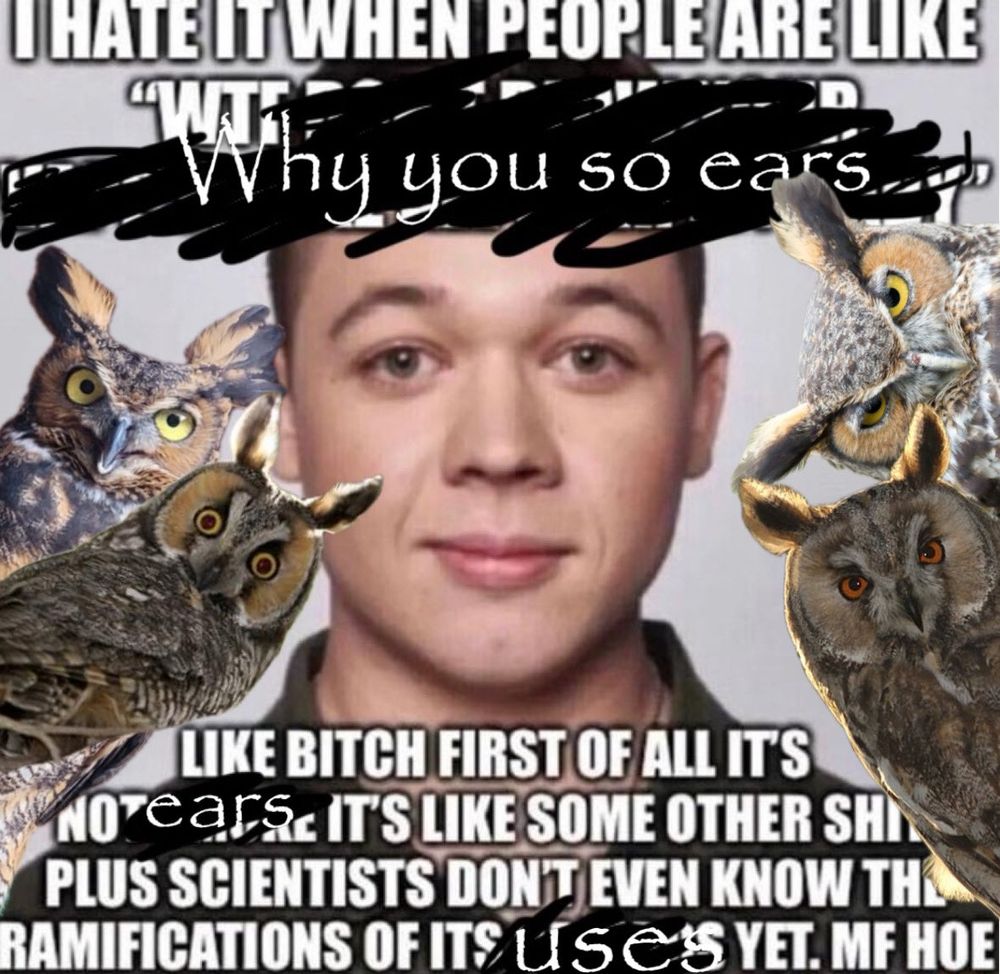 Comment image
