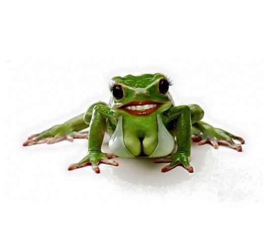 Comment image