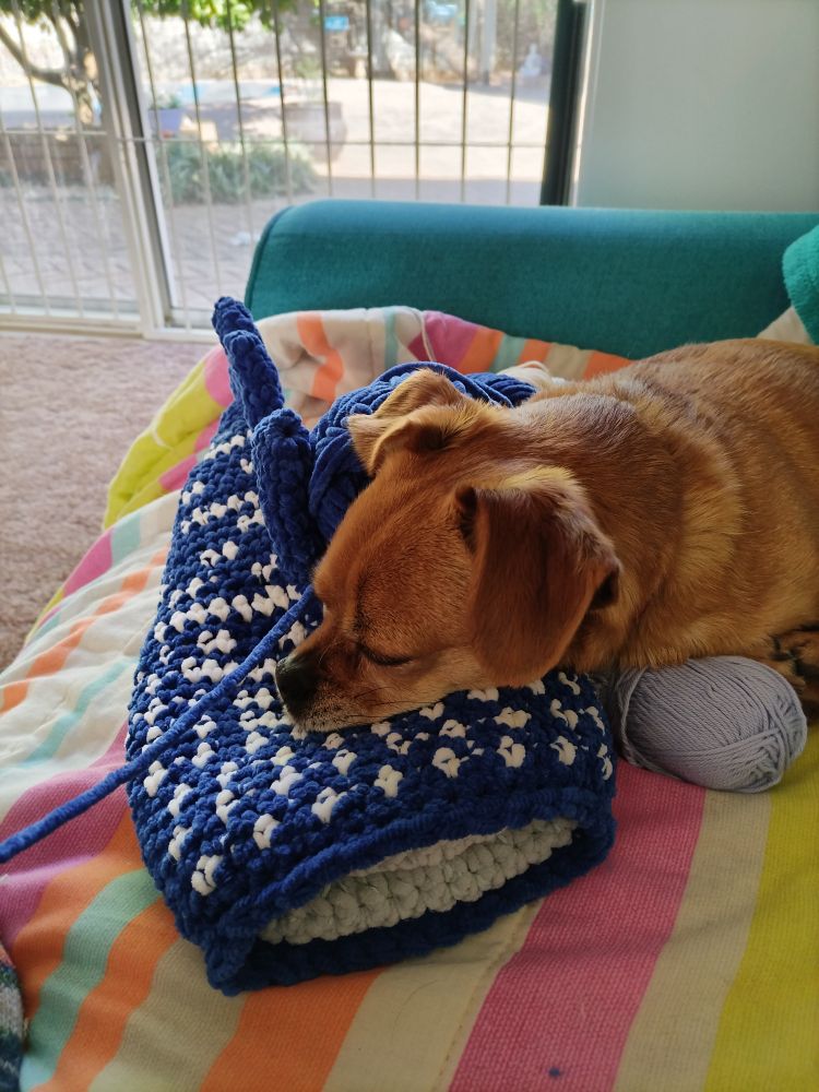 An image of a small brown dog on the couch, surrounded by yarn with her head on a partially crocheted amigurumi shark