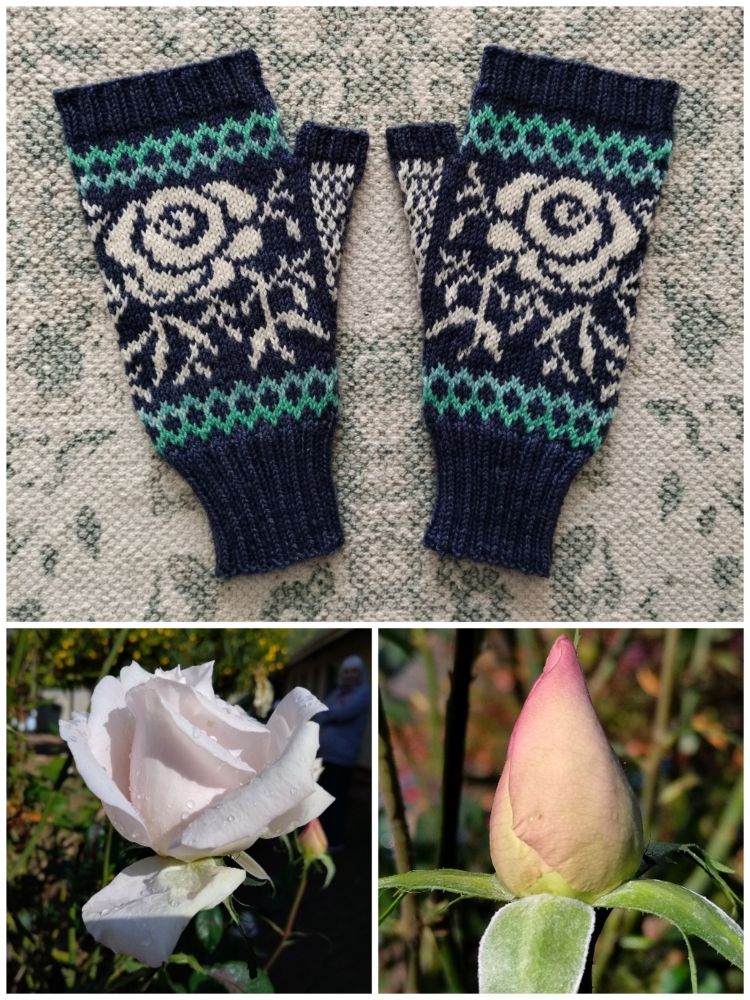 A photo collage of a pair of hand knitted colourwork mitts, the mitts are navy blue with turquoise geometric edges and white roses. Underneath the mitts are photos of two light pink roses, one slight open and the other still a bud.
