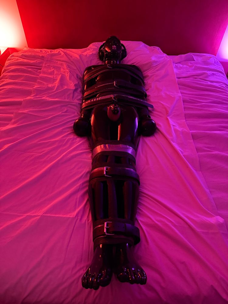 A fully gimped out, taped and belted toy, throbbing and leaking in its cage.