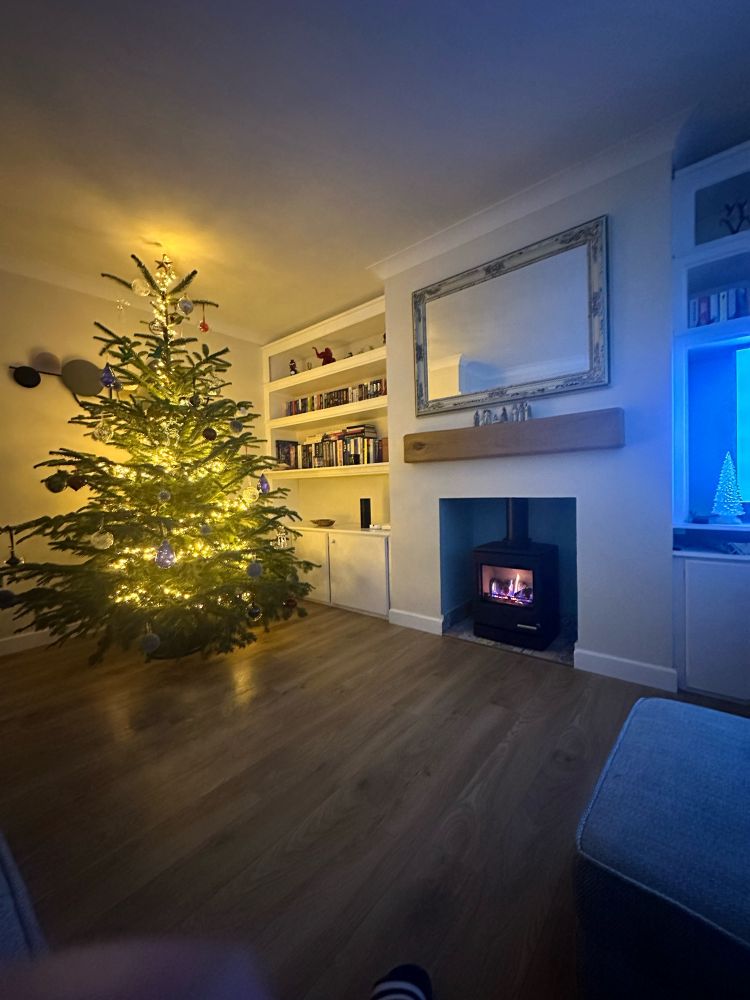A photo of my Christmas tree in my living room with a fireplace