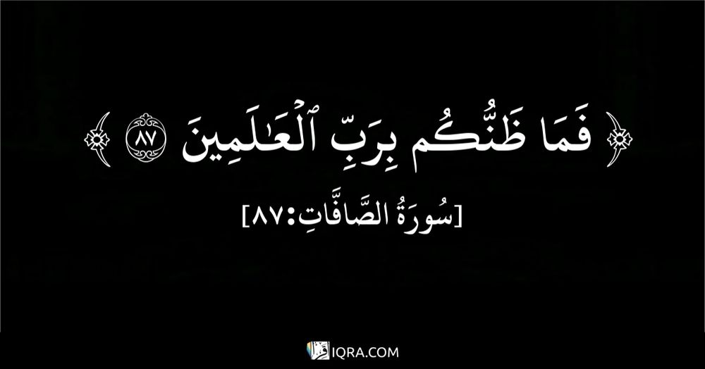 بسم الله الرحمن الرحيم 
فما ظنكم برب العالمين