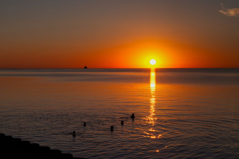 A group of 5 swimmers in water near a wall structure face toward the rising sun over Lake Michigan, which has just broken over the horizon and reflects over the calm waves. One of the city's water intake cribs is seen miles off in the distance along the horizon 
