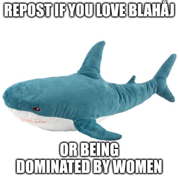 respot if you love blahaj or being dominated by women