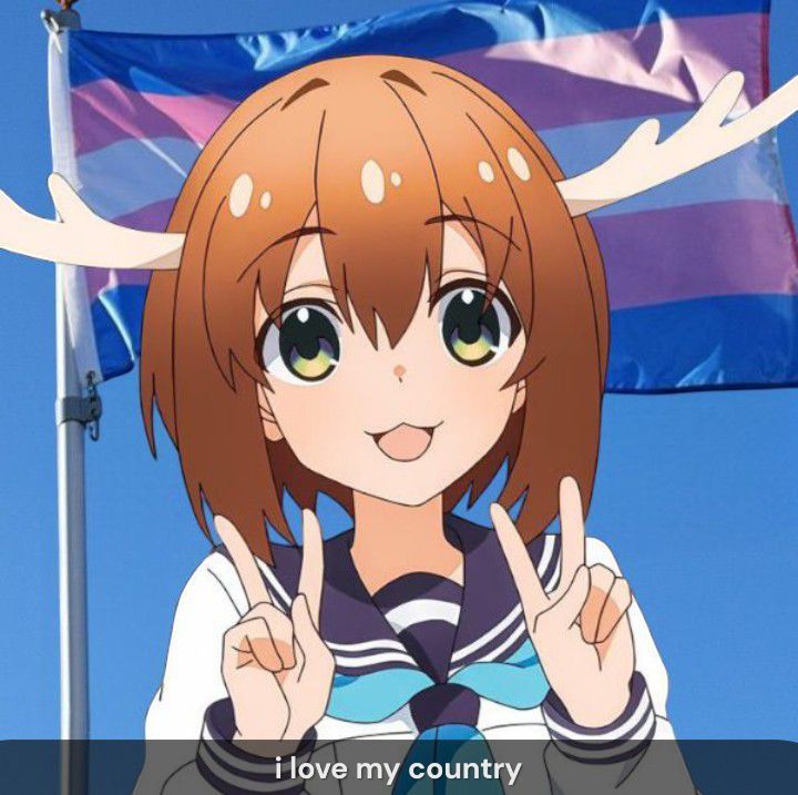 pic of nokotan in front of a trans flag, the text "i love my country"