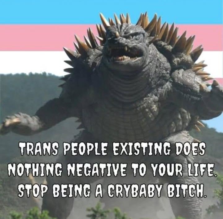 trans people existing does nothing negative to your life. stop being a crybaby bitch.