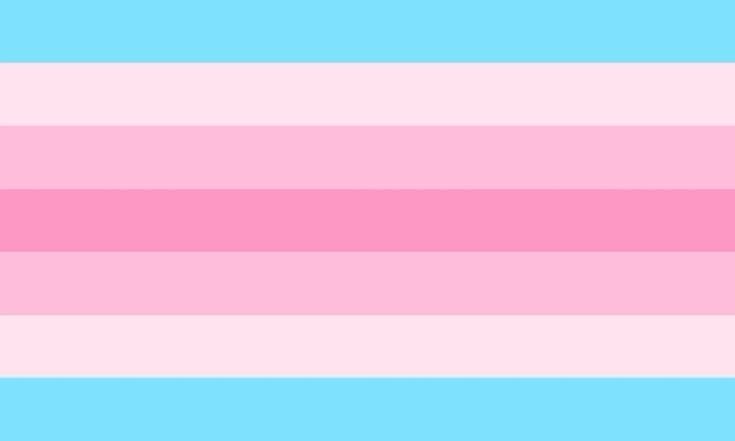 transfem flag