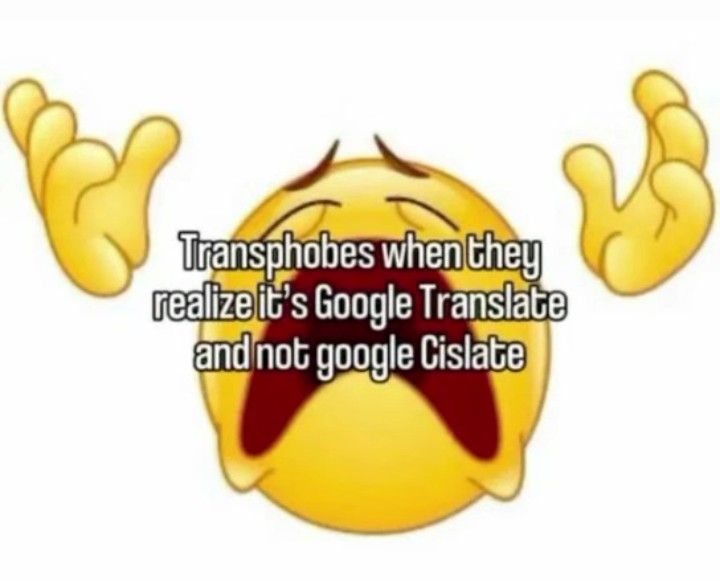 transphobes when they realize it's google translate and not google cislate