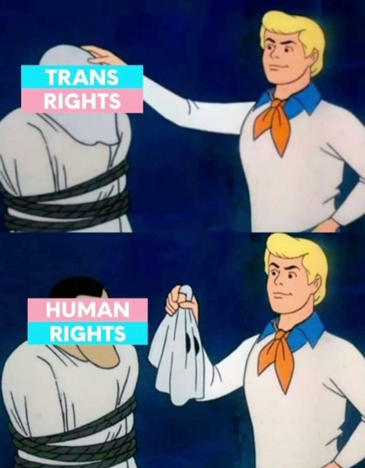 trans rights are human rights
