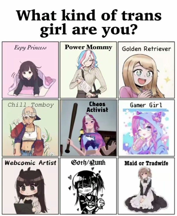 what kind of trans girl are you?

eepy princess
power mommy
golden retriever
chill tomboy
chaos activity
gamer girl
webcomic artist
goth / punk
maid or tradwife