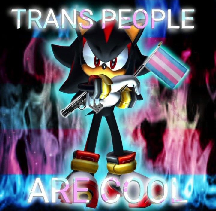 shadow says trans people are cool