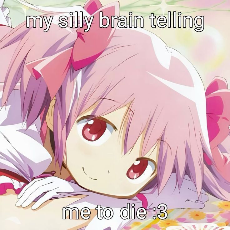 text: my silly brain telling me to die :3
pic of madoka