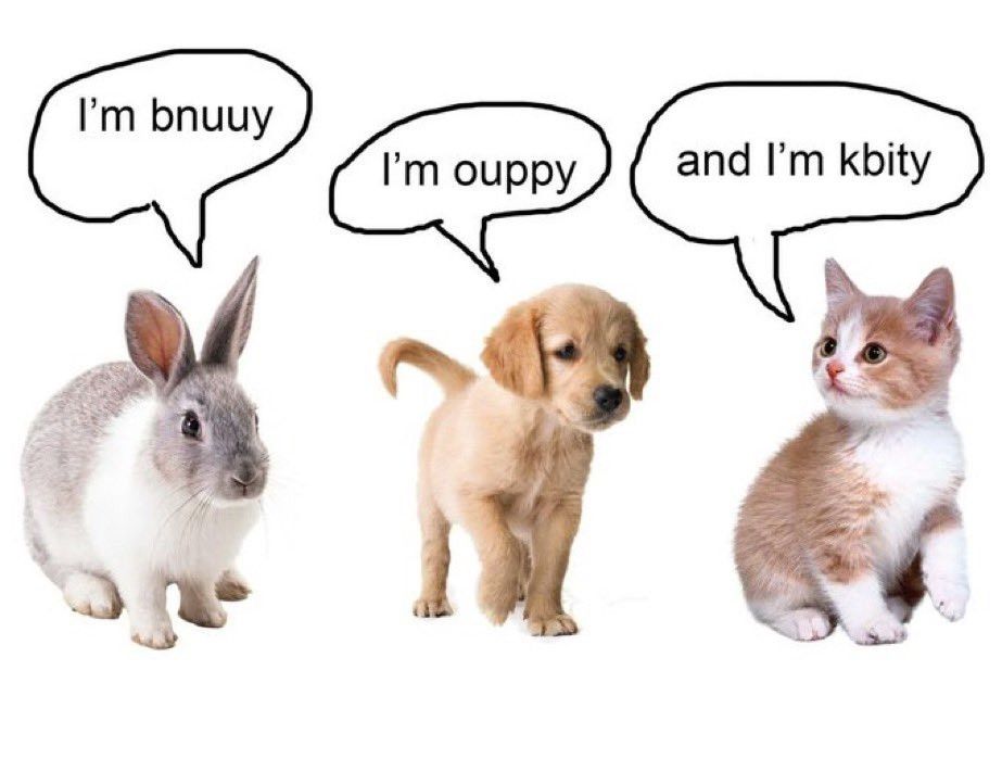 a bnuuy, a ouppy and a kbity (a bunny, a puppy and a kitty)