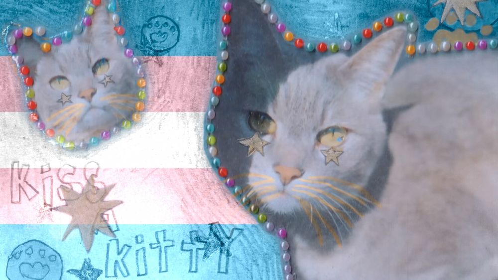 the picture from the music video of kiss a kitty by chuu, except it's many of the pictures in the video combined into on3, and there's also the trans flag in the background :3