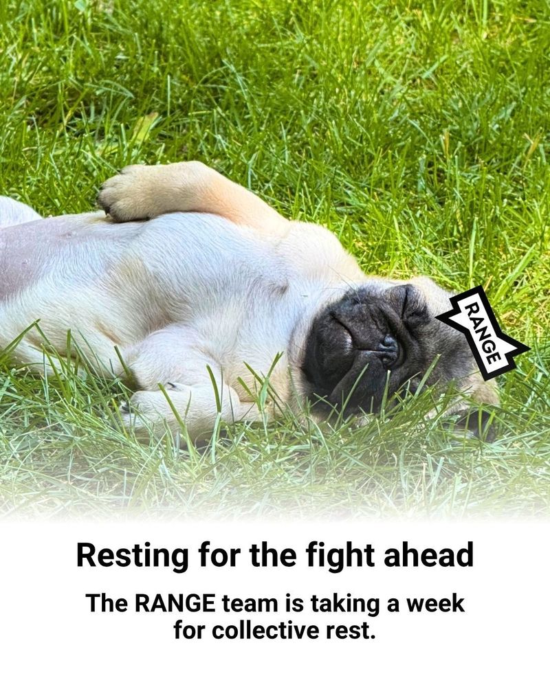 A sleepy pug laying in the grass, with text that reads "Resting for the fight ahead. The RANGE team is taking a week for collective rest."